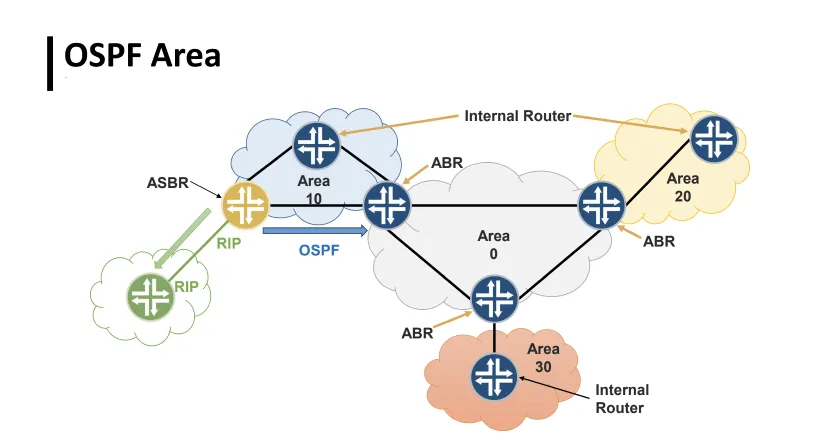 Apa Itu OSPF Area?