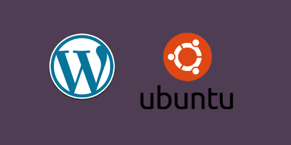 Как узнать версию wordpress ubuntu